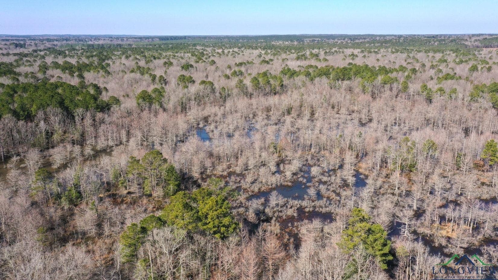 436.08 acres in Cass County - photo 2
