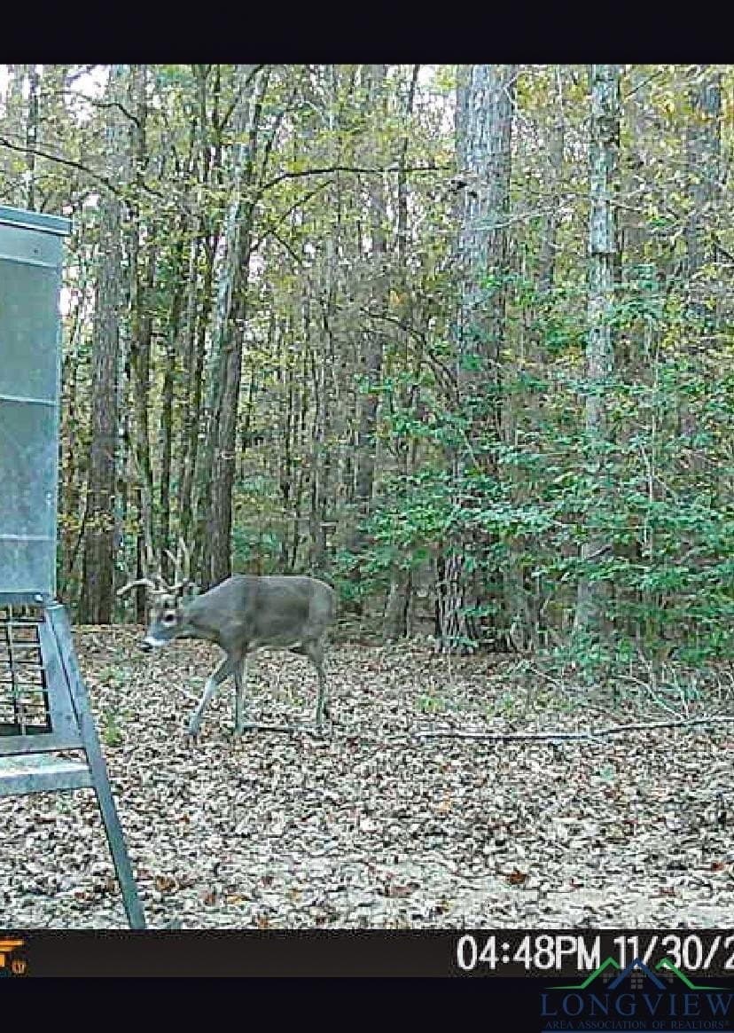 436.08 acres in Cass County - photo 24