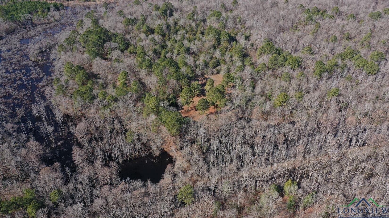 436.08 acres in Cass County - photo 11