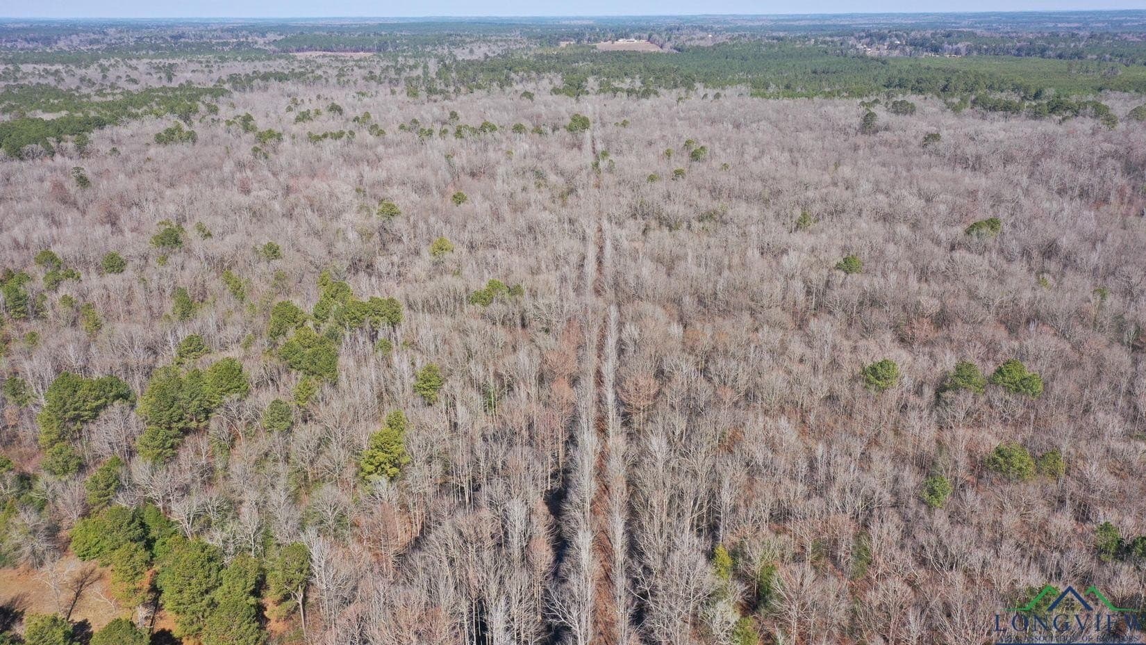436.08 acres in Cass County - photo 47