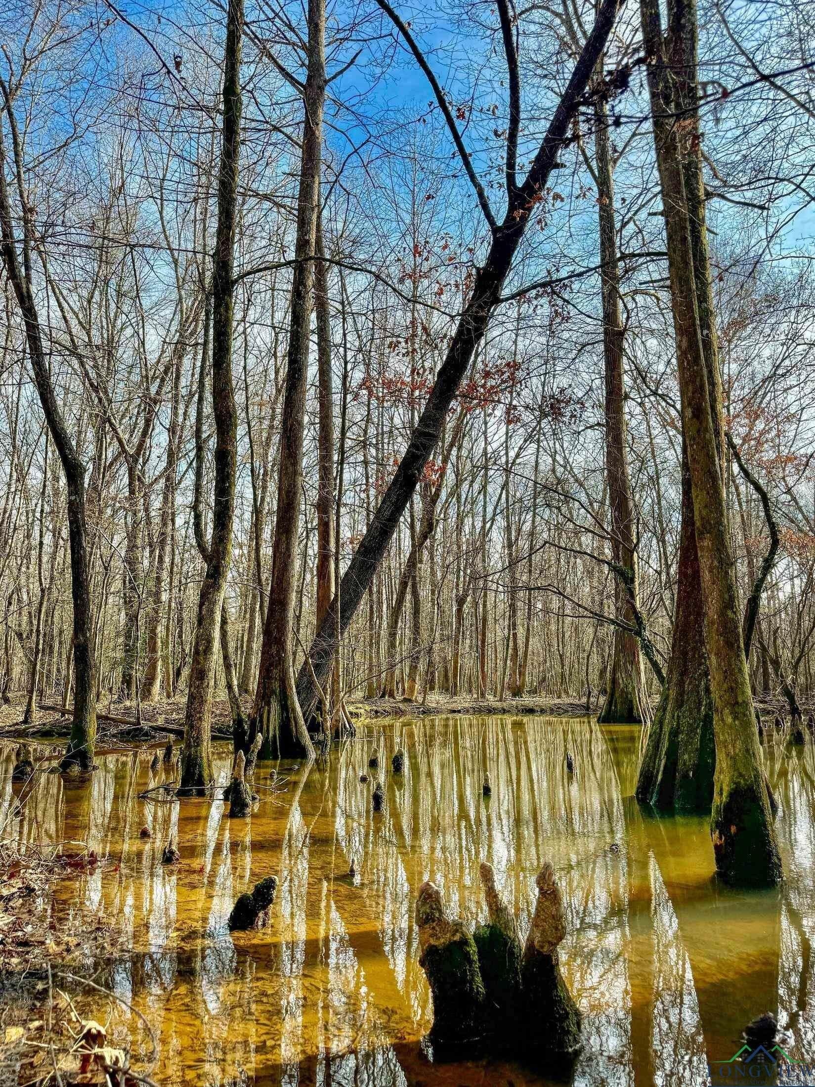 436.08 acres in Cass County - photo 16