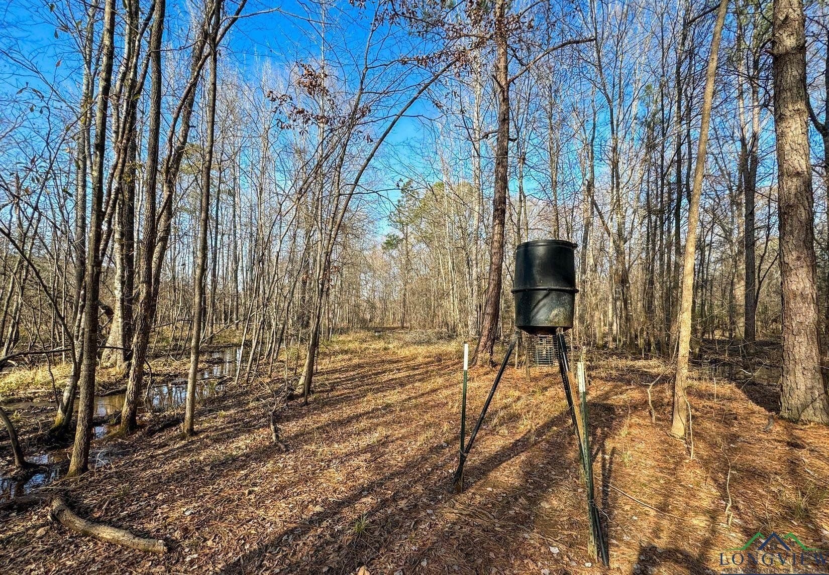 436.08 acres in Cass County - photo 19