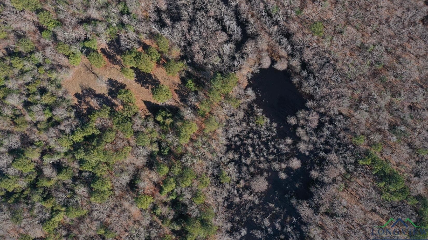 436.08 acres in Cass County - photo 50