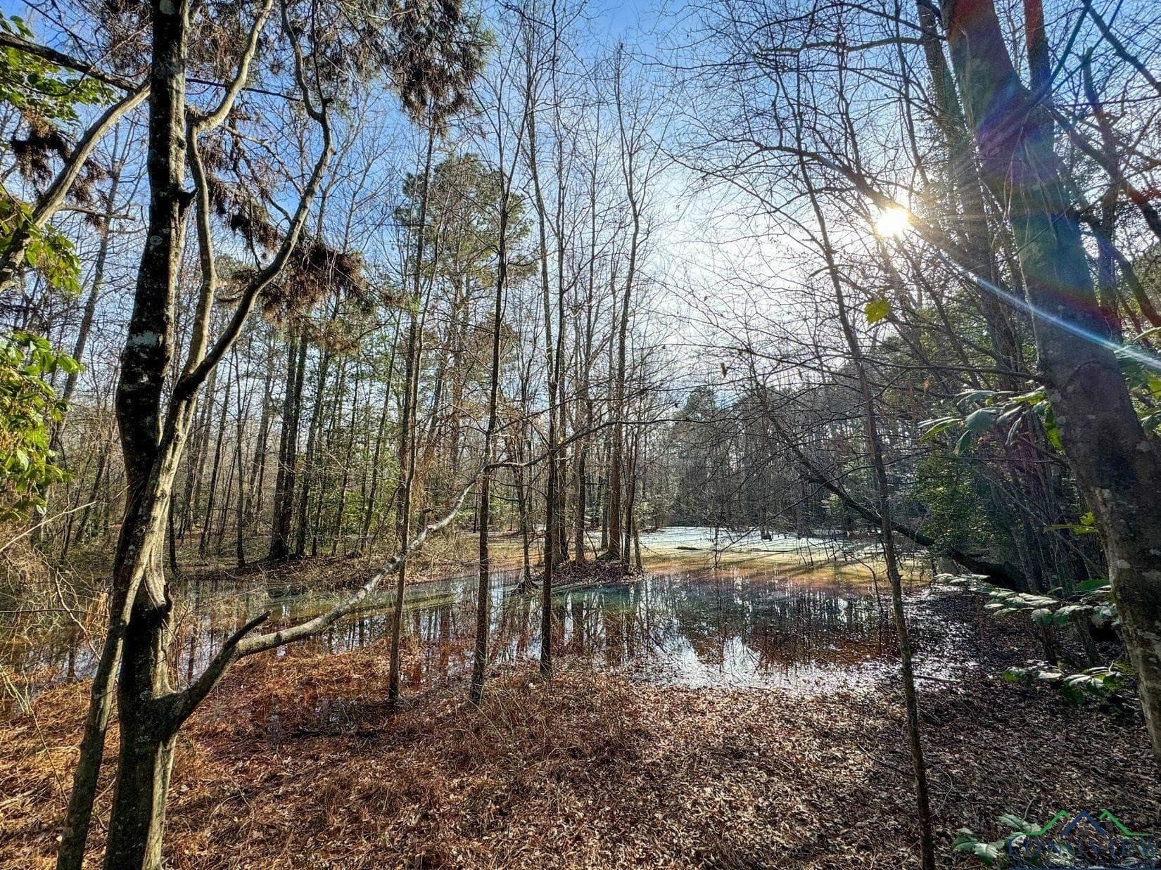 436.08 acres in Cass County - photo 25