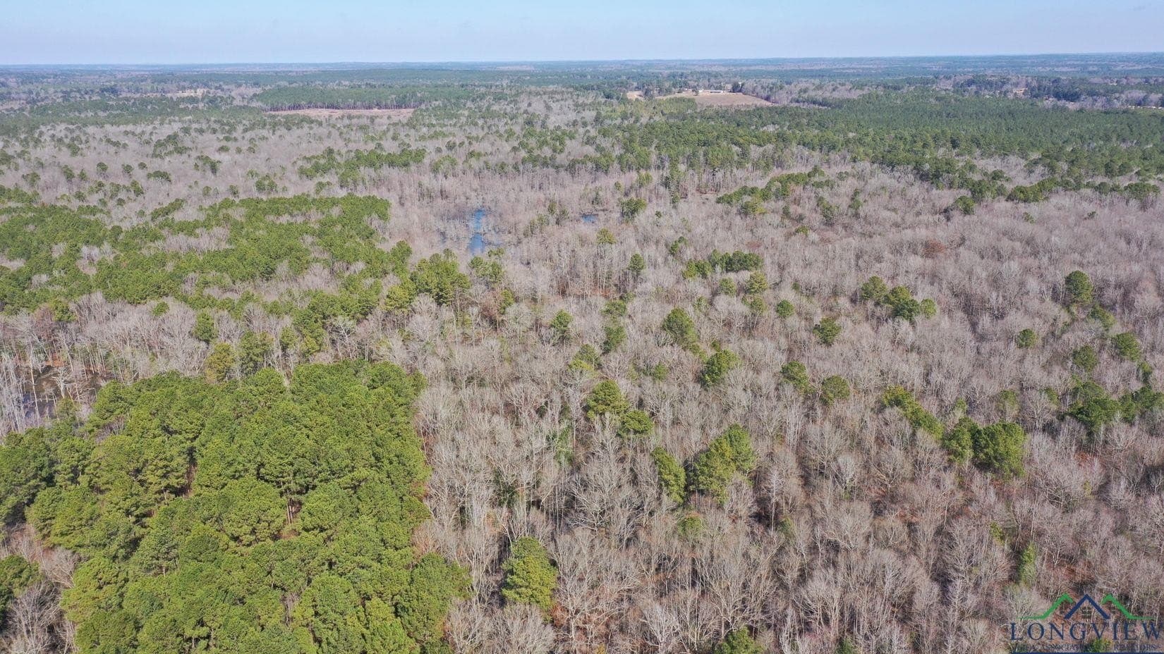 436.08 acres in Cass County - photo 45