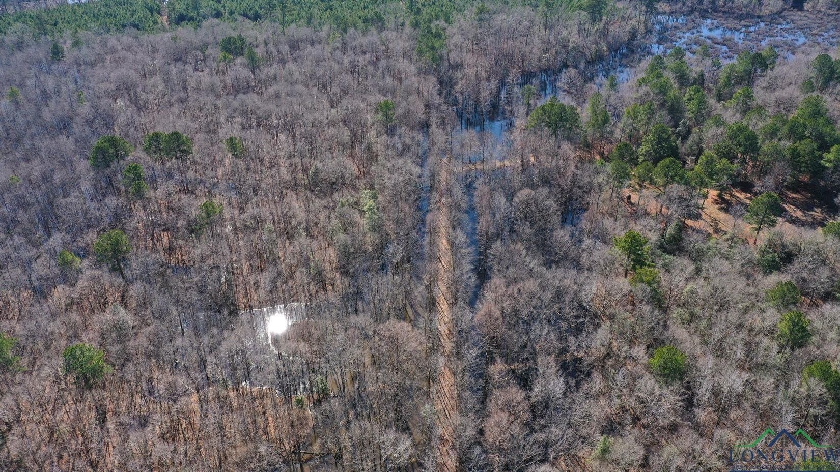 436.08 acres in Cass County - photo 3
