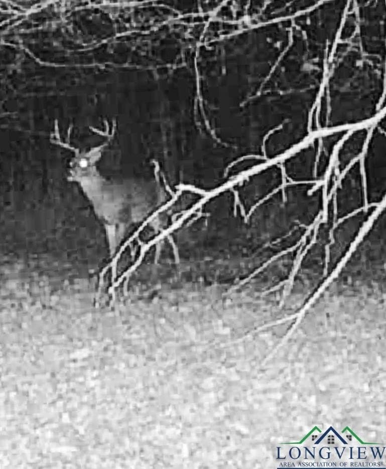 436.08 acres in Cass County - photo 39