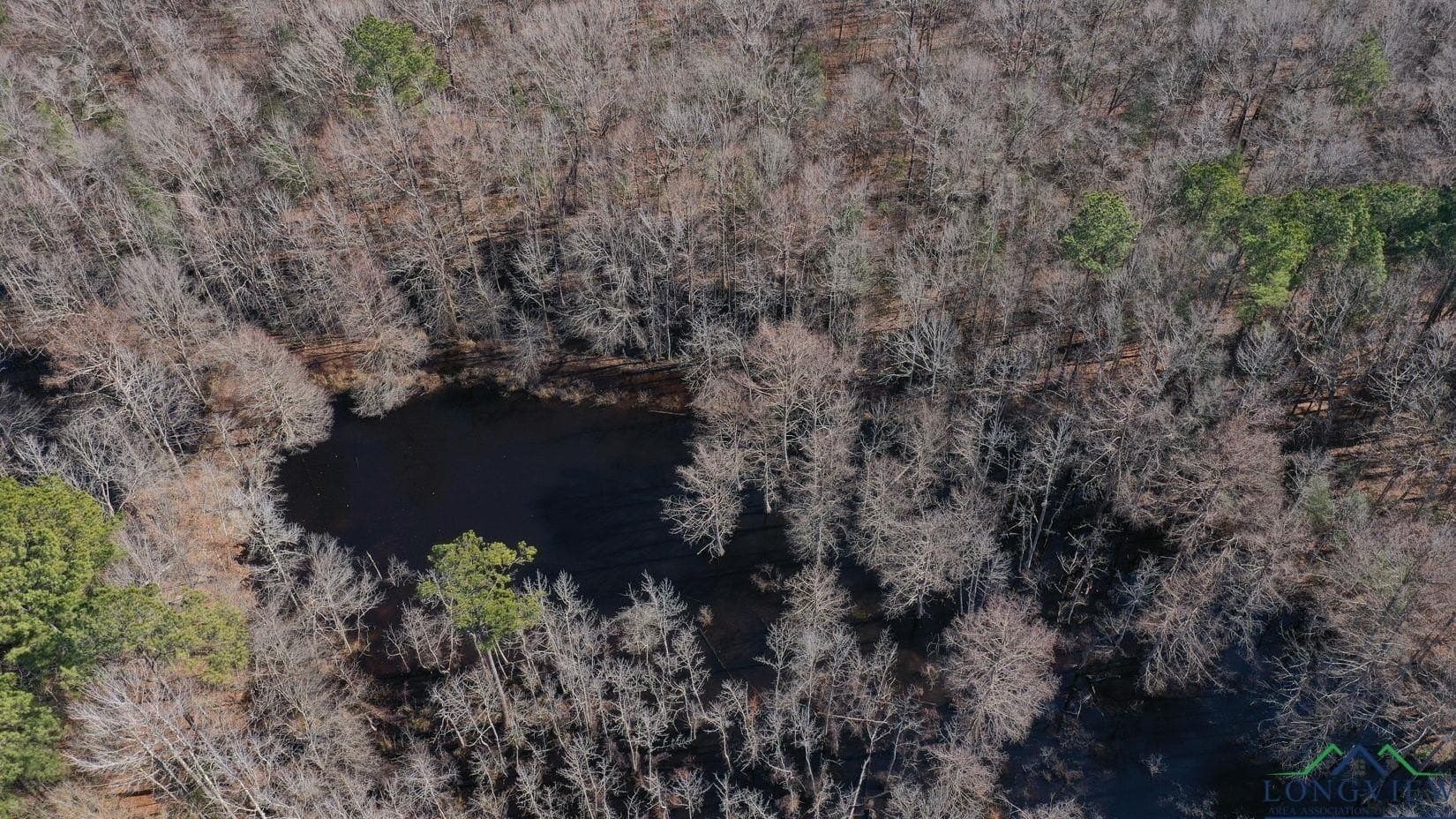 436.08 acres in Cass County - photo 10