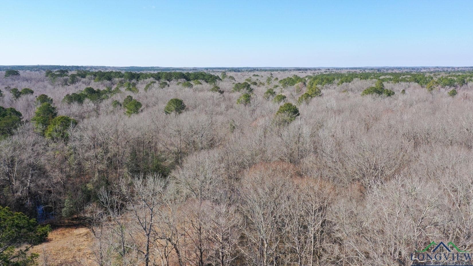 436.08 acres in Cass County - photo 48