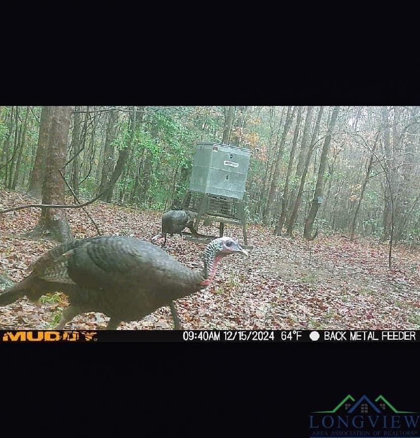 436.08 acres in Cass County - photo 41