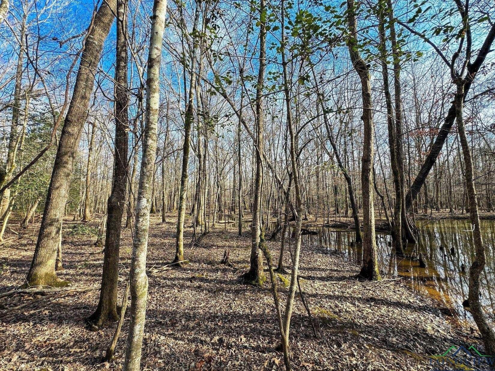 436.08 acres in Cass County - photo 14