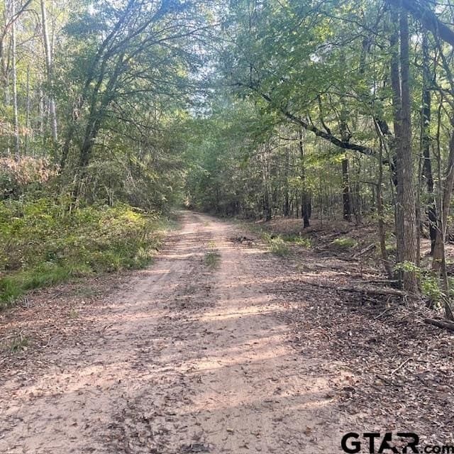 188.74 acres in Wood County - photo 16