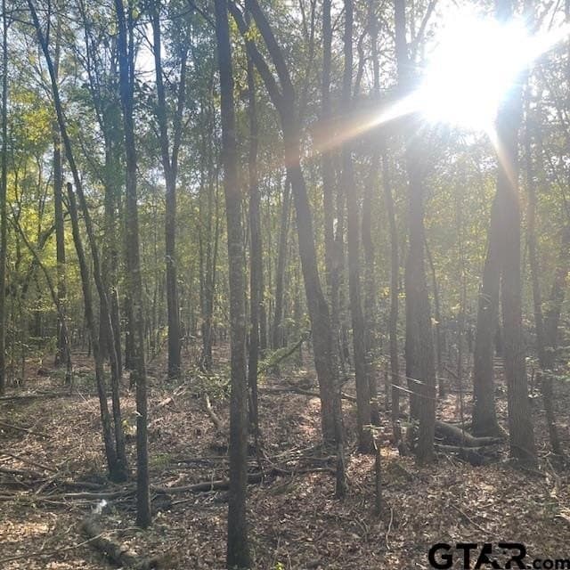 188.74 acres in Wood County - photo 22