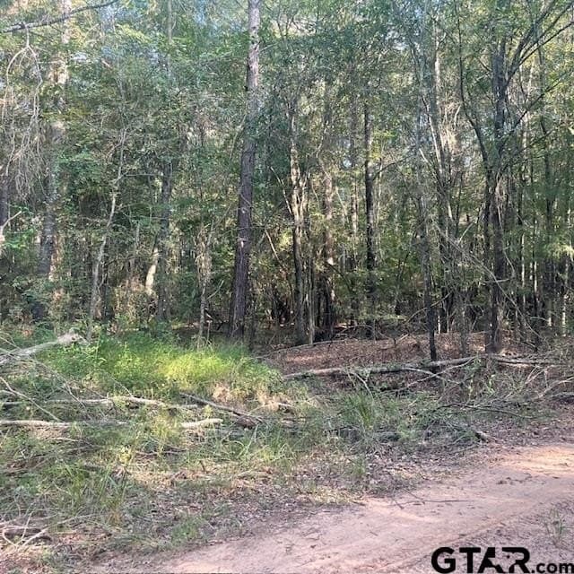 188.74 acres in Wood County - photo 13