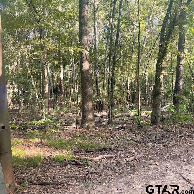 188.74 acres in Wood County - photo 21