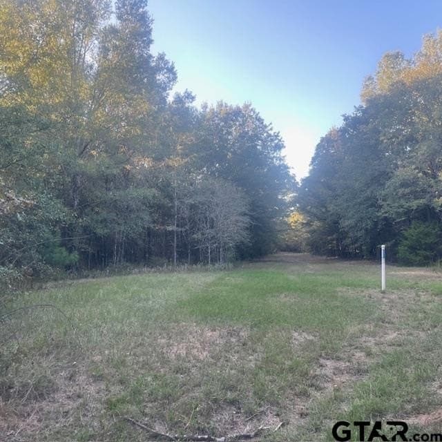 188.74 acres in Wood County - photo 8