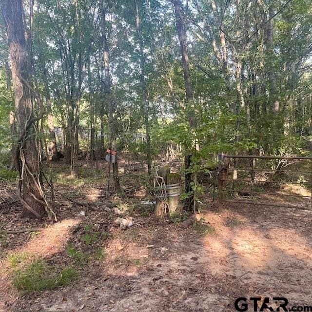 188.74 acres in Wood County - photo 25