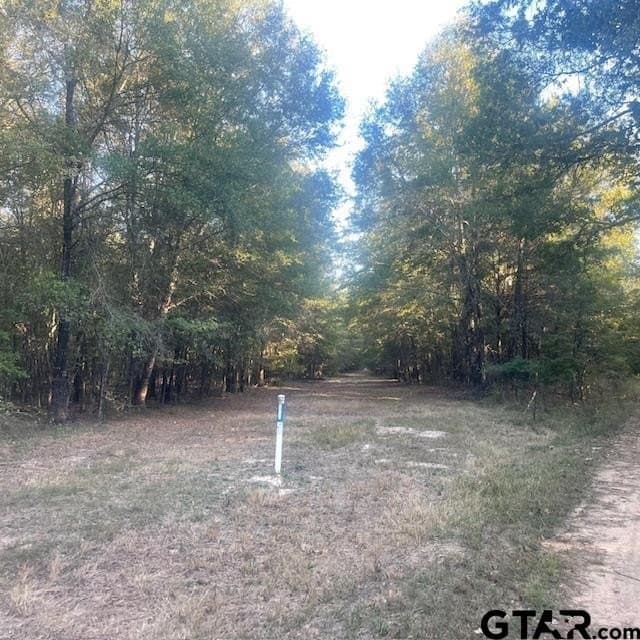 188.74 acres in Wood County - photo 9