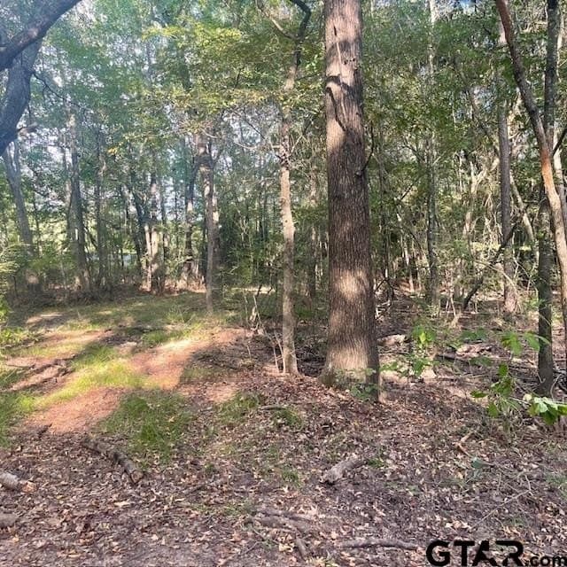 188.74 acres in Wood County - photo 18