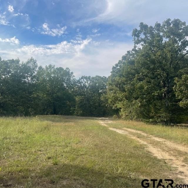 188.74 acres in Wood County - photo 31