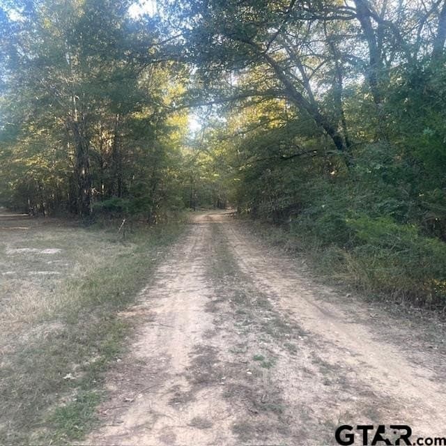 188.74 acres in Wood County - photo 7