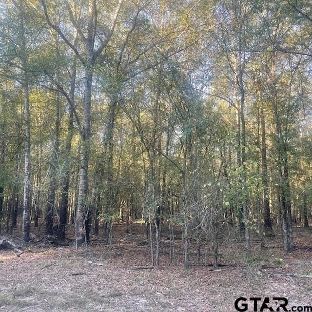 188.74 acres in Wood County - photo 4