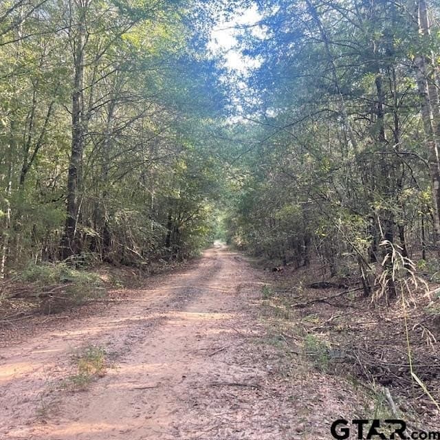 188.74 acres in Wood County - photo 15