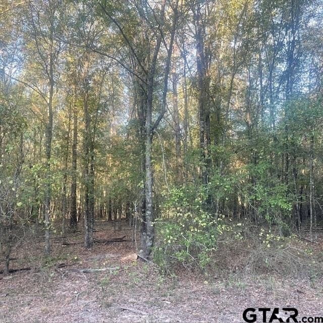 188.74 acres in Wood County - photo 2