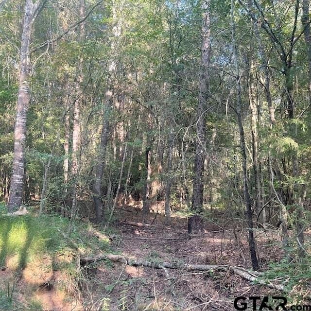 188.74 acres in Wood County - photo 12