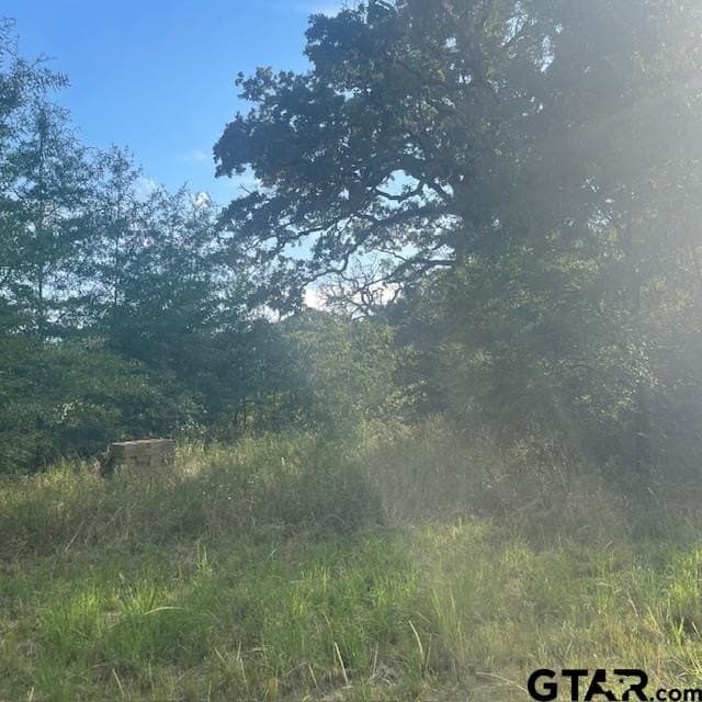 188.74 acres in Wood County - photo 30