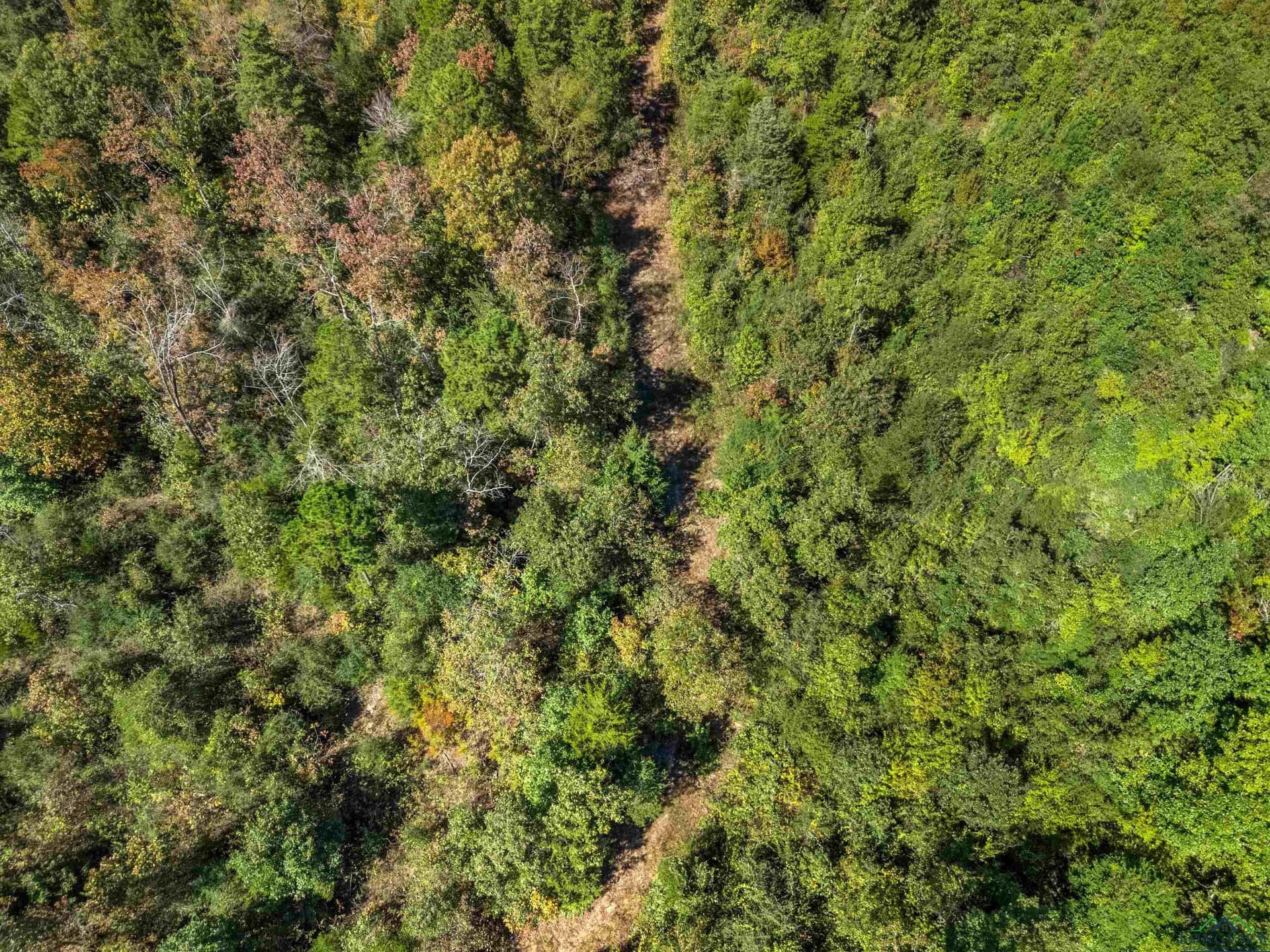 48 acres in Rusk County - photo 9