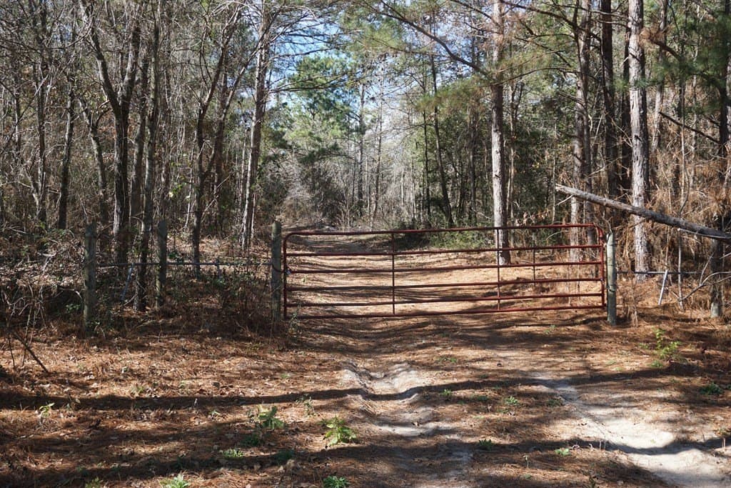 56.57 acres in ANDERSON County - photo 2