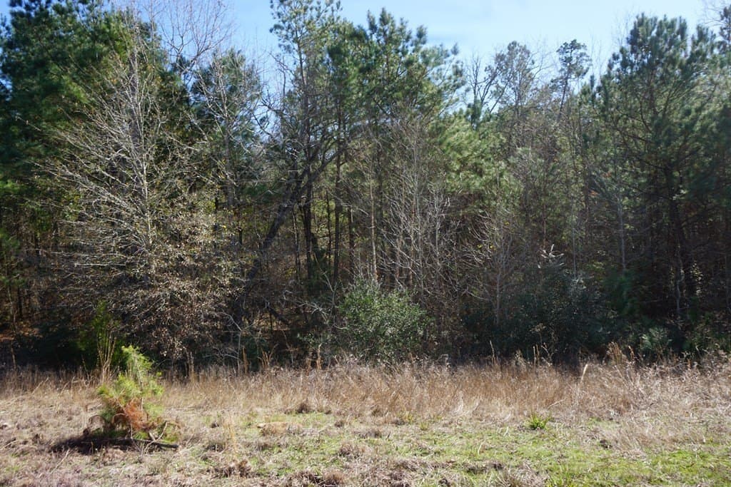 56.57 acres in ANDERSON County - photo 8