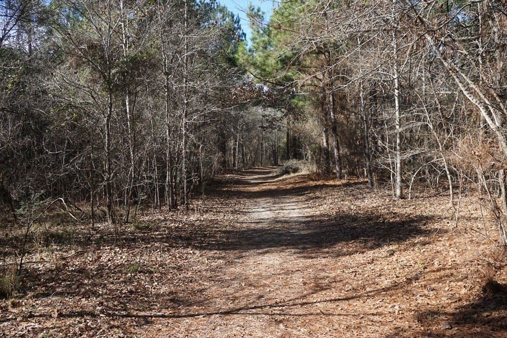 56.57 acres in ANDERSON County - photo 4