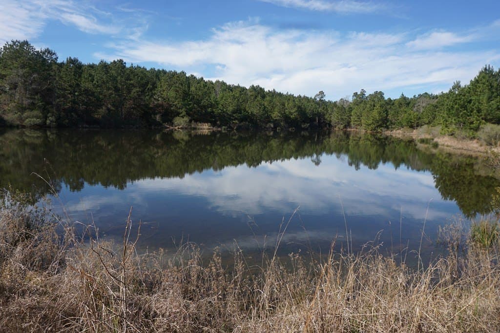 56.57 acres in ANDERSON County - photo 7