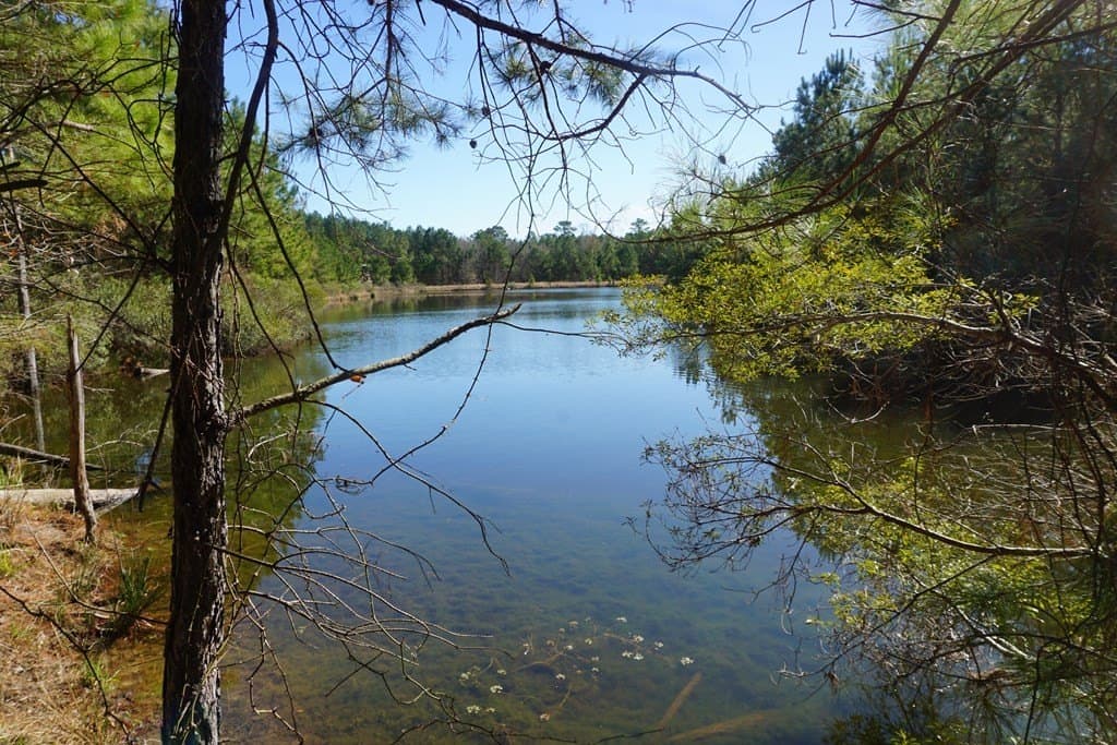 56.57 acres in ANDERSON County - photo 10