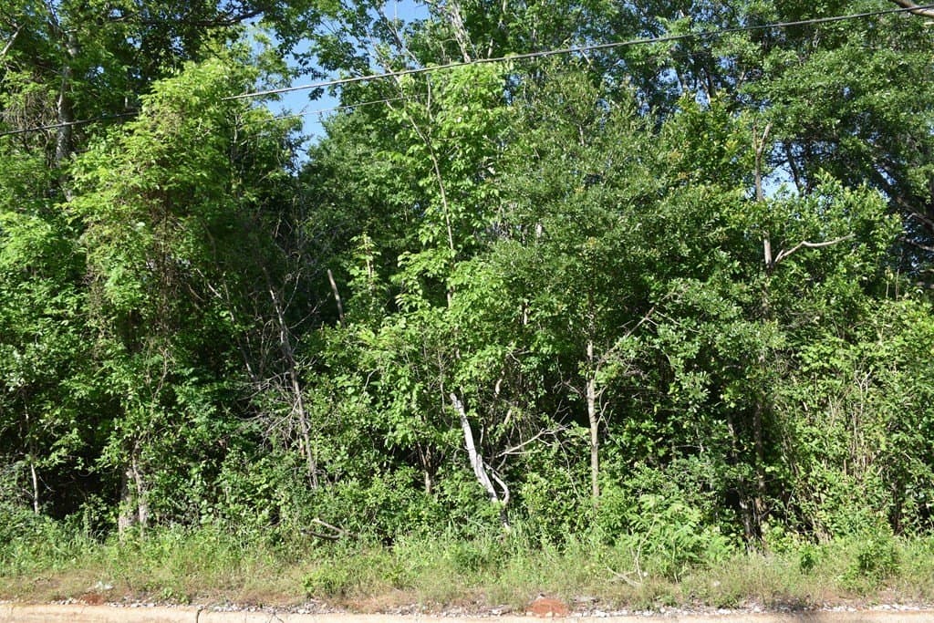4.69 acres in ANDERSON County - photo 5