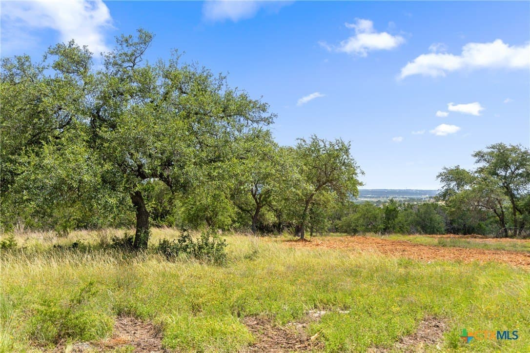 2.67 acres in Comal County - photo 12