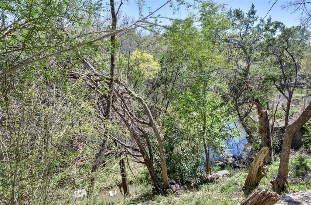 0.2 acres in Hood County - photo 6