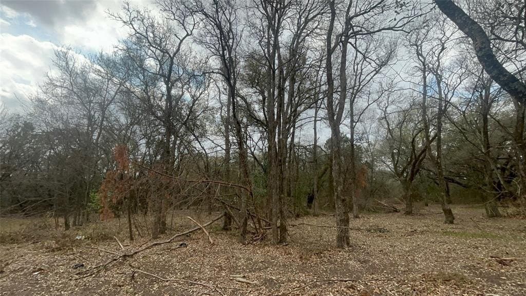 0.34 acres in McLennan County - photo 11