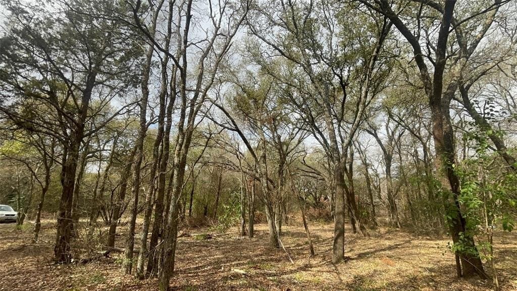 0.34 acres in McLennan County - photo 4
