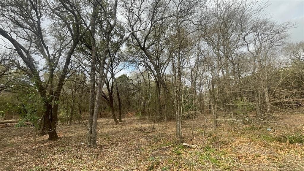 0.34 acres in McLennan County - photo 8