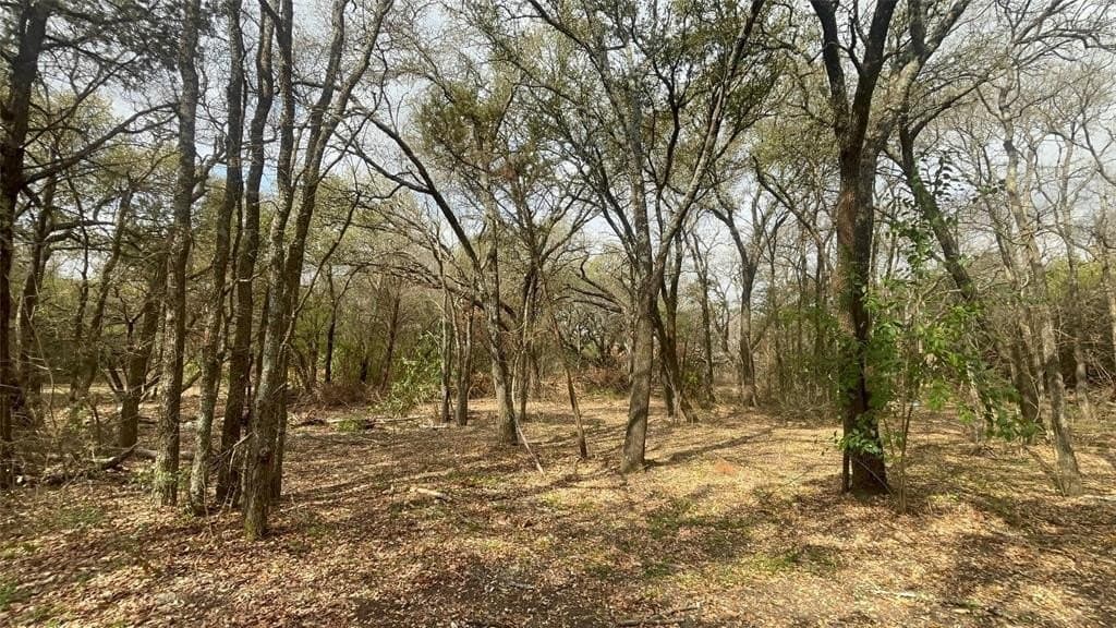0.34 acres in McLennan County - photo 5