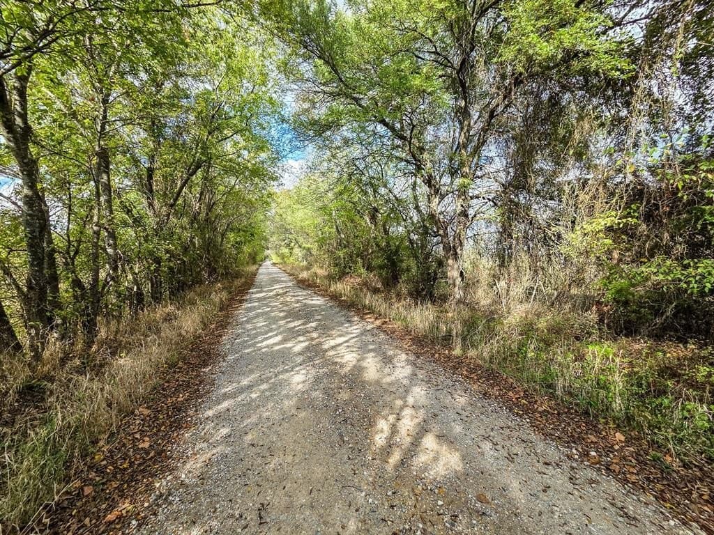 61 acres in Fannin County - photo 17