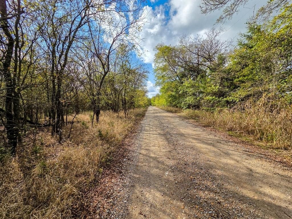 61 acres in Fannin County - photo 16