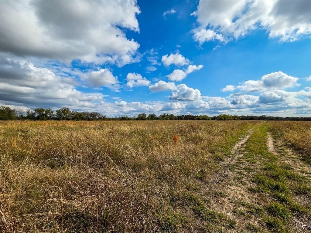 61 acres in Fannin County - photo 12