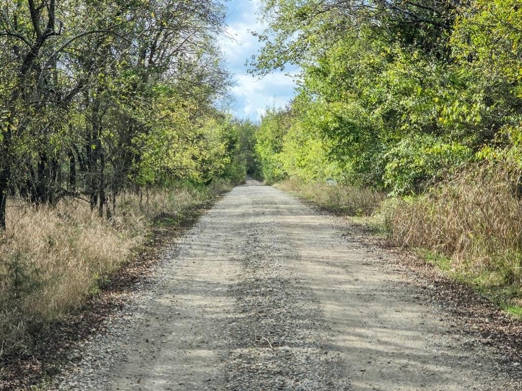 61 acres in Fannin County - photo 15