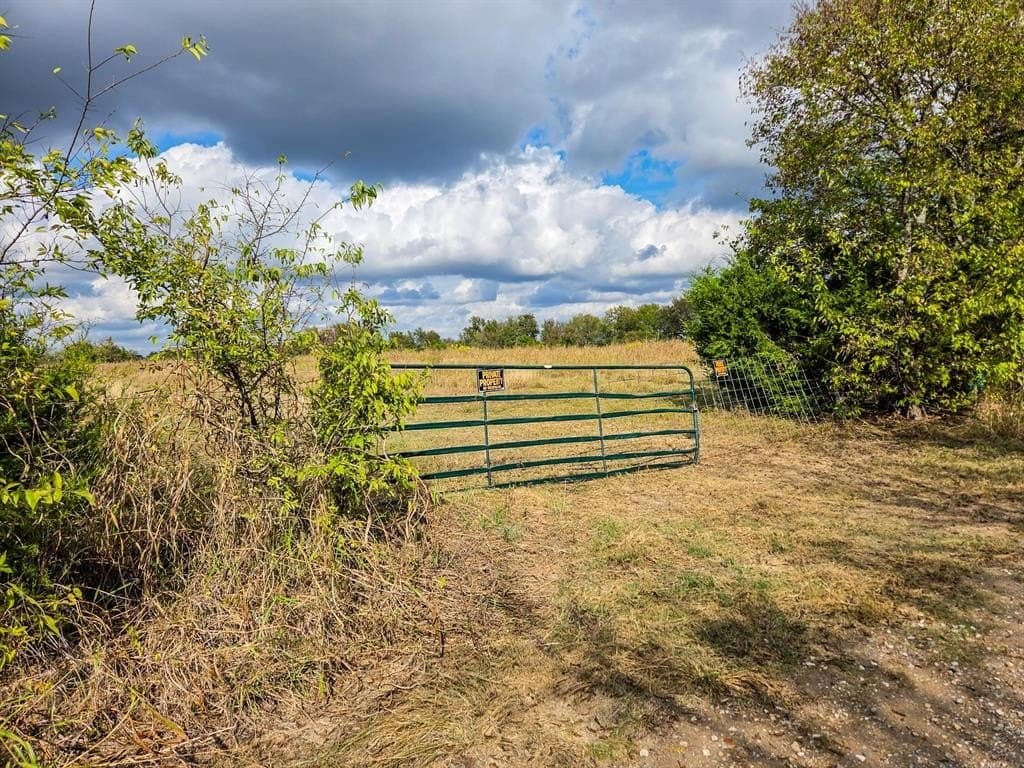 61 acres in Fannin County - photo 14
