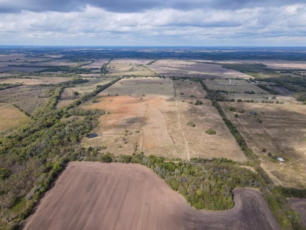 61 acres in Fannin County - photo 5