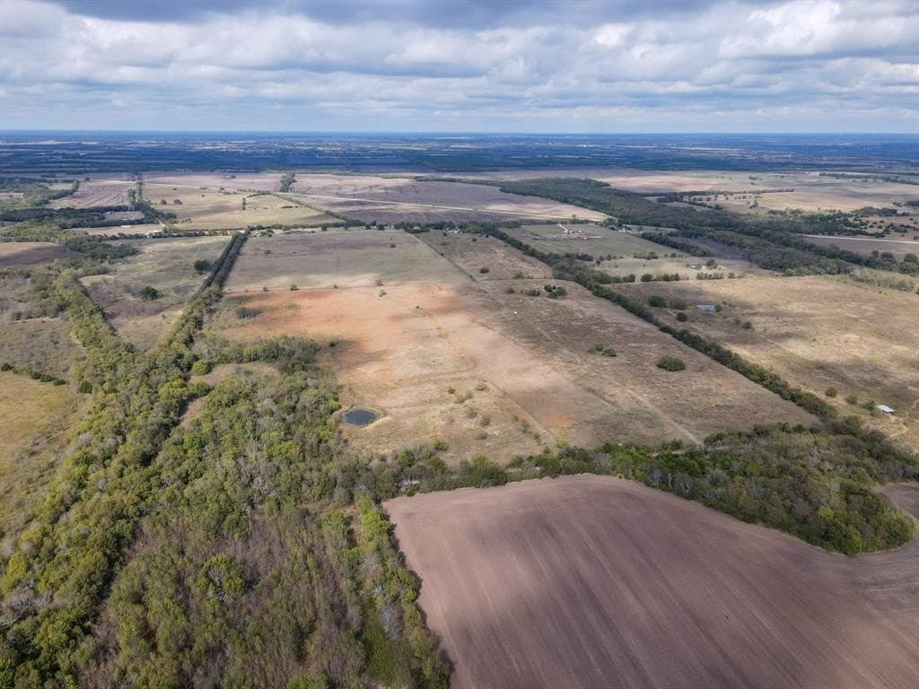 61 acres in Fannin County - photo 4